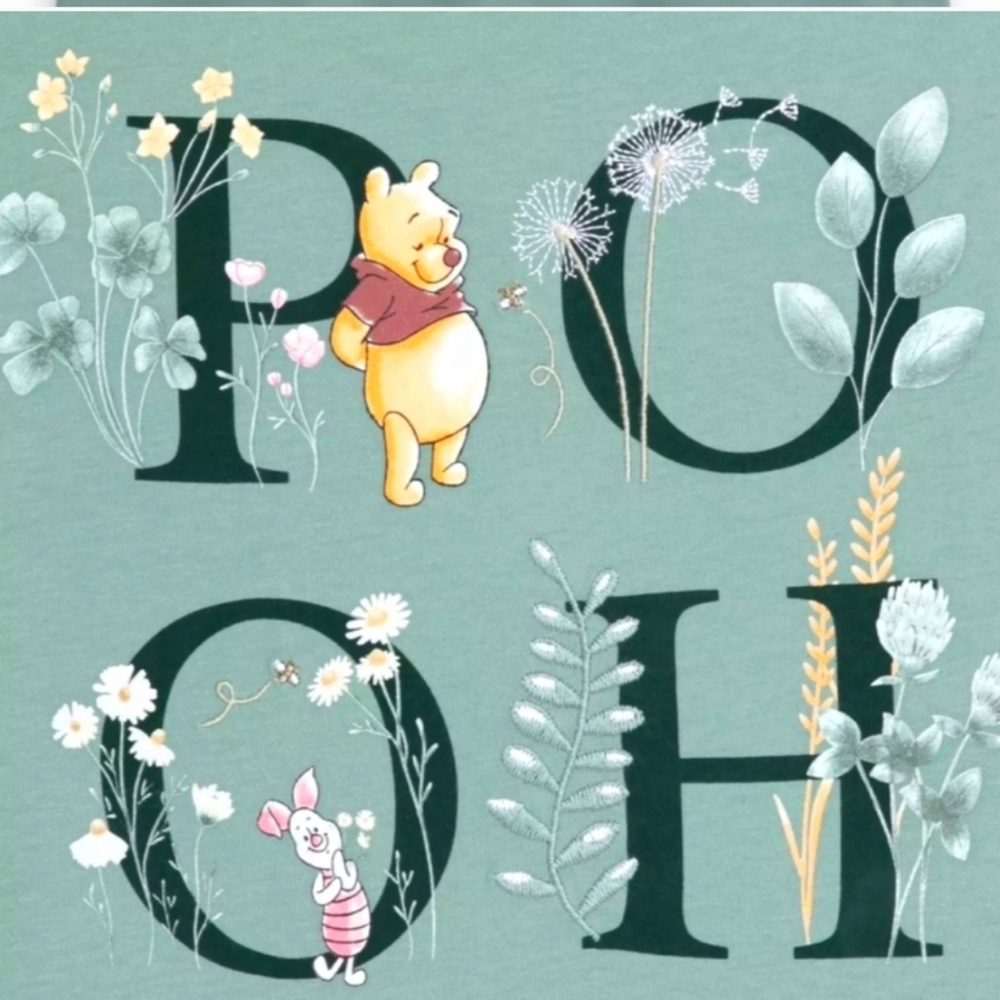 Winnie the Pooh Bear & Piglet T-Shirt Size 1X NWT Light Green Top
